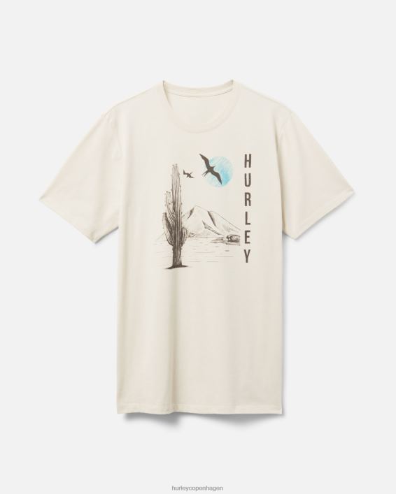 hverdag udforske frokosttid dreamin t-shirt Mænd knogle tøj Hurley D404N312