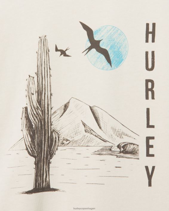 hverdag udforske frokosttid dreamin t-shirt Mænd knogle tøj Hurley D404N312