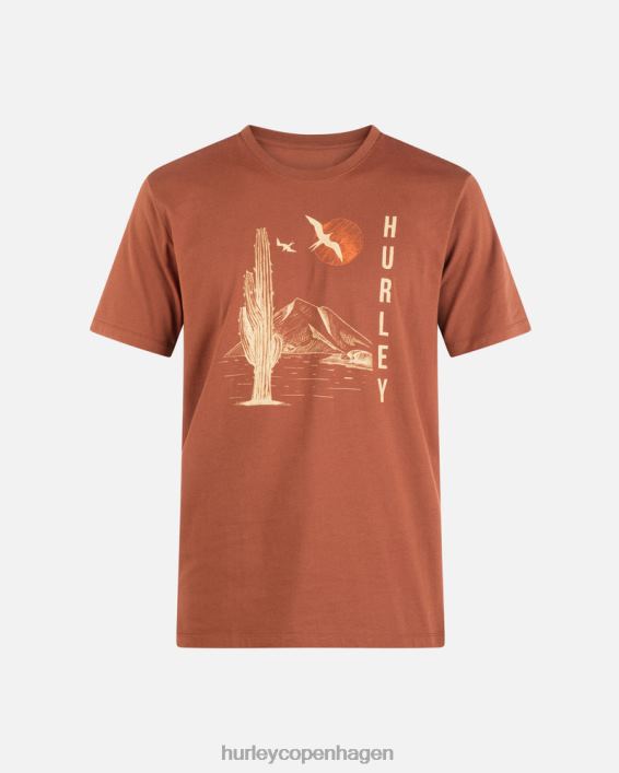 hverdag udforske frokosttid dreamin t-shirt Mænd zion rust tøj Hurley D404N358