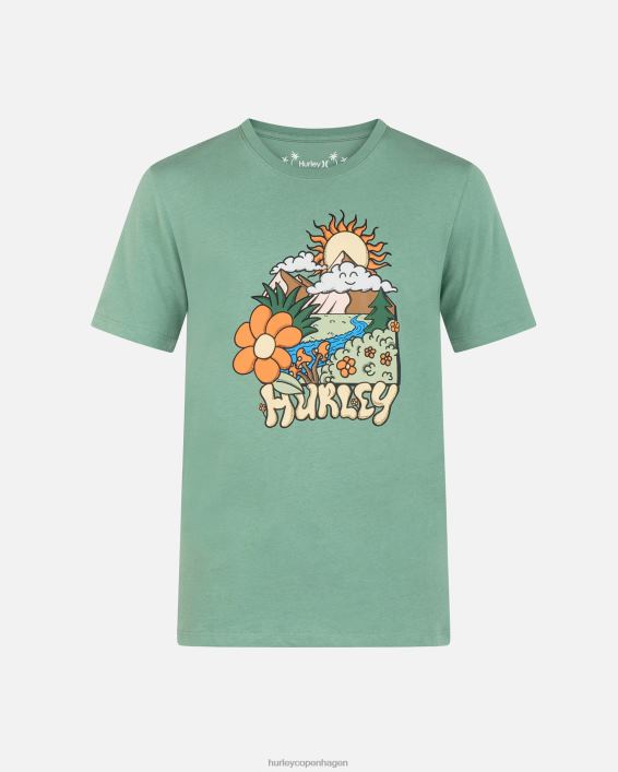 hverdagens udforske solen skinner kortærmet t-shirt Mænd koriander tøj Hurley D404N20