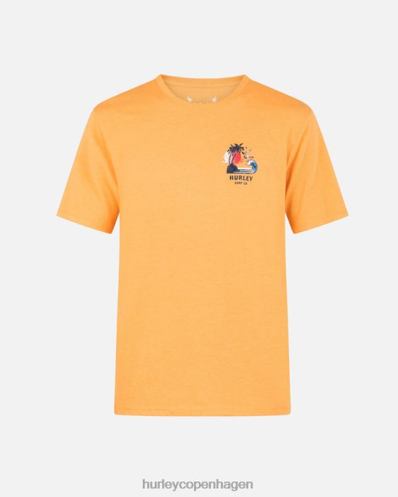 hverdags ø-fest kortærmet t-shirt Mænd nektarin tøj Hurley D404N63