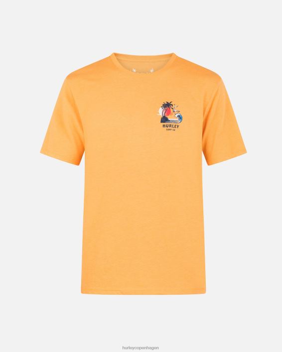 hverdags ø-fest kortærmet t-shirt Mænd nektarin tøj Hurley D404N63