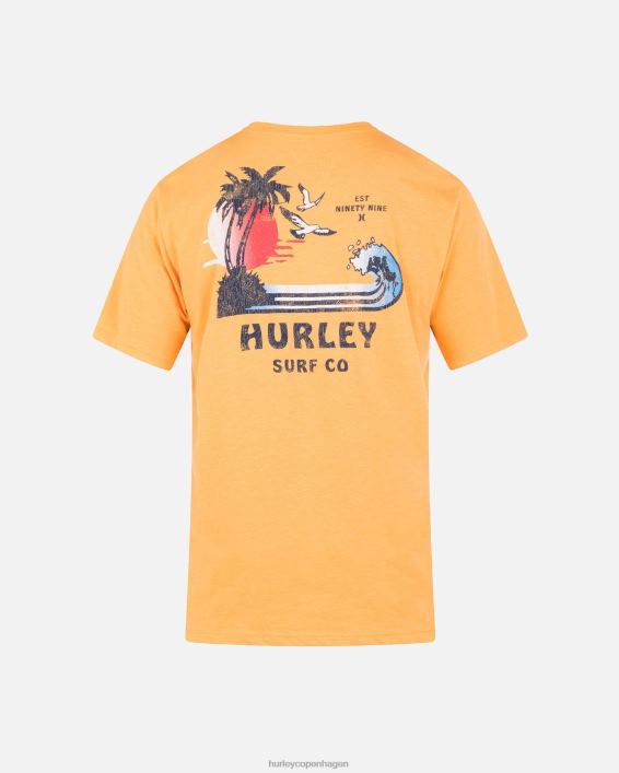 hverdags ø-fest kortærmet t-shirt Mænd nektarin tøj Hurley D404N63