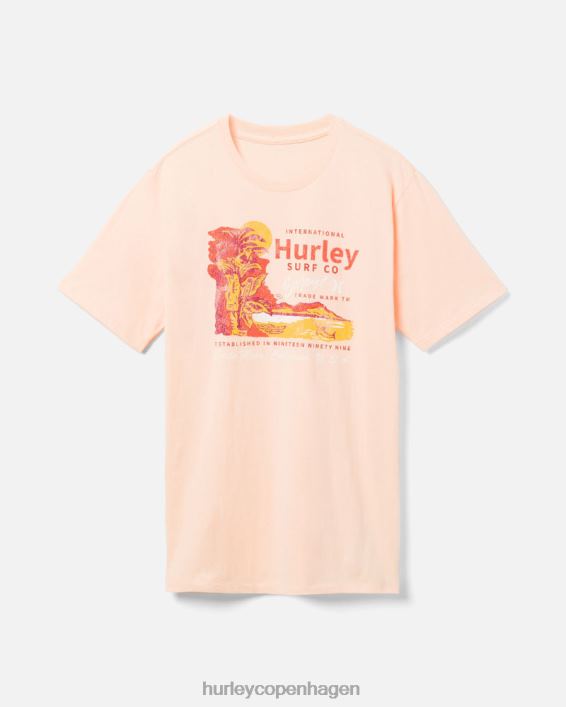 hverdags waikiki tiki t-shirt Mænd drøm sødt tøj Hurley D404N340