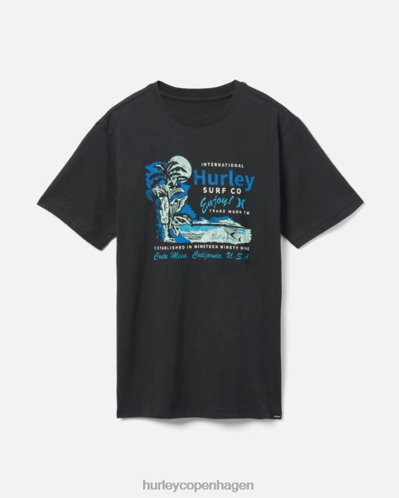 hverdags waikiki tiki t-shirt Mænd sort tøj Hurley D404N378