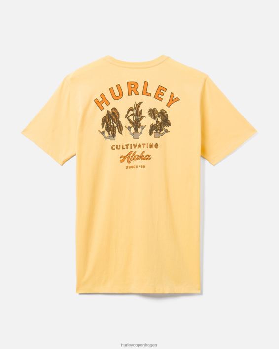 hverdagsdyrke t-shirt Mænd btr sauce tøj Hurley D404N304