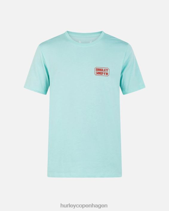 hverdagsplakat kortærmet t-shirt Mænd tropisk tåge tøj Hurley D404N27