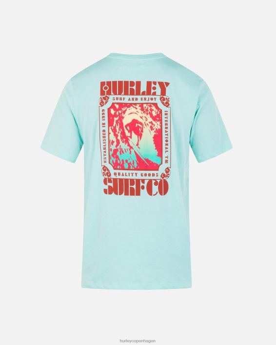 hverdagsplakat kortærmet t-shirt Mænd tropisk tåge tøj Hurley D404N27