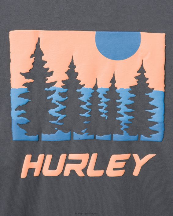 hverdagens udforske evergreen langærmet Mænd ion grå tøj Hurley D404N377