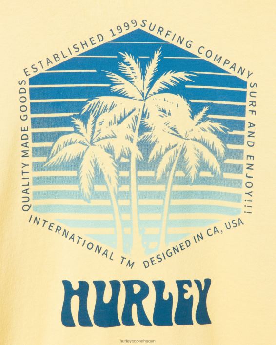 hverdags tres palmas langærmet Mænd btr sauce tøj Hurley D404N370